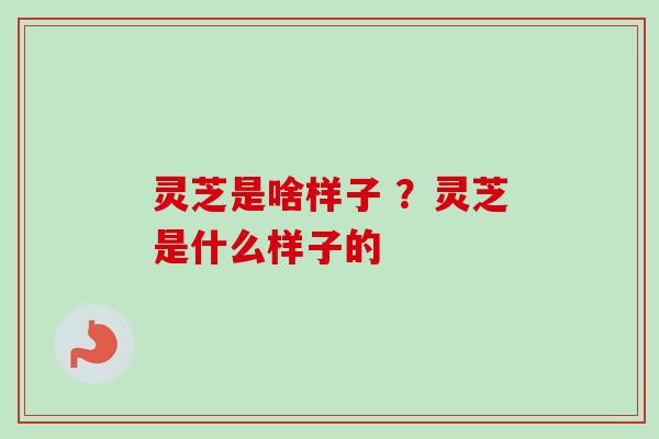 灵芝是啥样子 ？灵芝是什么样子的-第1张图片-卓越灵芝孢子粉