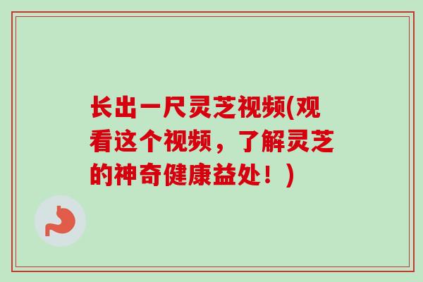 长出一尺灵芝视频(观看这个视频,了解灵芝的神奇健康益处!)-第1张图片-卓越灵芝孢子粉 长出一尺灵芝视频(观看这个视频,了解灵芝的神奇健康益处!)-第1张图片-卓越灵芝孢子粉