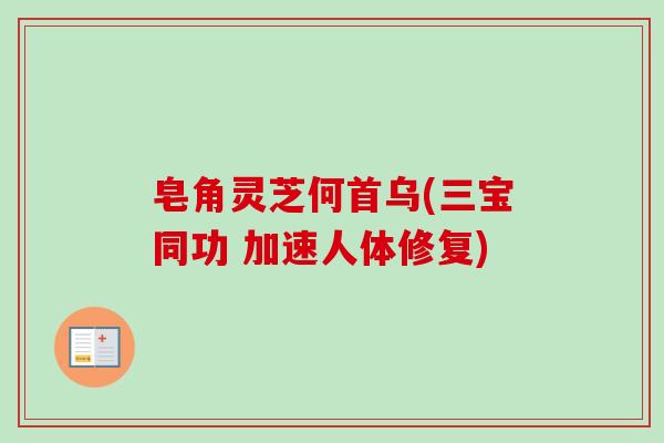 皂角灵芝何首乌(三宝同功 加速人体修复)-第1张图片-卓越灵芝孢子粉 皂角灵芝何首乌(三宝同功 加速人体修复)-第1张图片-卓越灵芝孢子粉