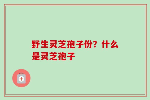 野生灵芝孢子份？什么是灵芝孢子-第1张图片-卓越灵芝孢子粉