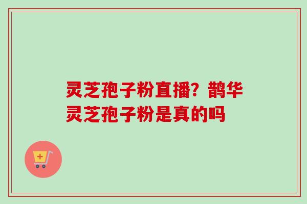 灵芝孢子粉直播？鹊华灵芝孢子粉是真的吗-第1张图片-卓越灵芝孢子粉