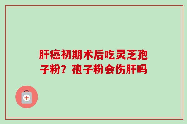 肝癌初期术后吃灵芝孢子粉？孢子粉会伤肝吗-第1张图片-卓越灵芝孢子粉