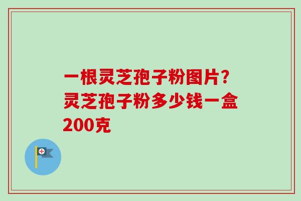 一根灵芝孢子粉图片?灵芝孢子粉多少钱一盒200克-第1张图片-卓越灵芝孢子粉 一根灵芝孢子粉图片?灵芝孢子粉多少钱一盒200克-第1张图片-卓越灵芝孢子粉