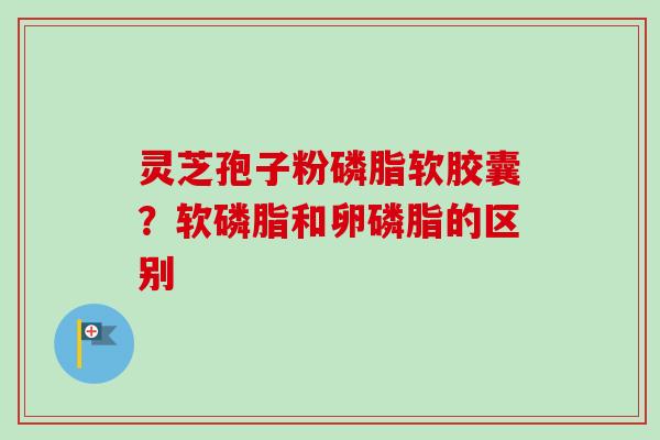 灵芝孢子粉磷脂软胶囊?软磷脂和卵磷脂的区别-第1张图片-卓越灵芝孢子粉 灵芝孢子粉磷脂软胶囊?软磷脂和卵磷脂的区别-第1张图片-卓越灵芝孢子粉