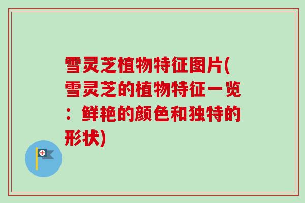 雪灵芝植物特征图片(雪灵芝的植物特征一览:鲜艳的颜色和独特的形状)-第1张图片-卓越灵芝孢子粉 雪灵芝植物特征图片(雪灵芝的植物特征一览:鲜艳的颜色和独特的形状)-第1张图片-卓越灵芝孢子粉