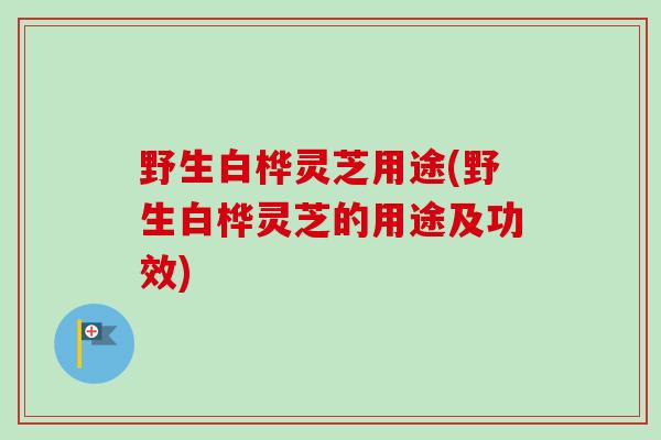 野生白桦灵芝用途(野生白桦灵芝的用途及功效)-第1张图片-卓越灵芝孢子粉