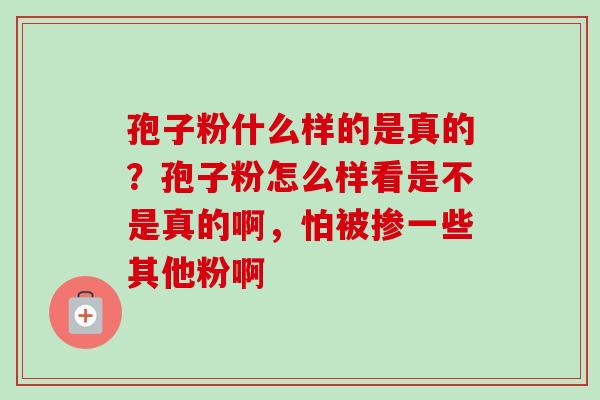 孢子粉什么样的是真的？孢子粉怎么样看是不是真的啊，怕被掺一些其他粉啊-第1张图片-卓越灵芝孢子粉