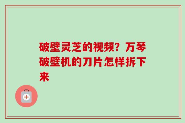 破壁灵芝的视频？万琴破壁机的刀片怎样拆下来-第1张图片-卓越灵芝孢子粉