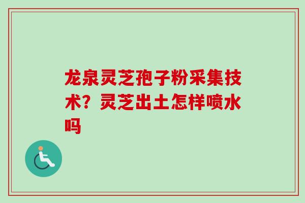 龙泉灵芝孢子粉采集技术？灵芝出土怎样喷水吗-第1张图片-卓越灵芝孢子粉