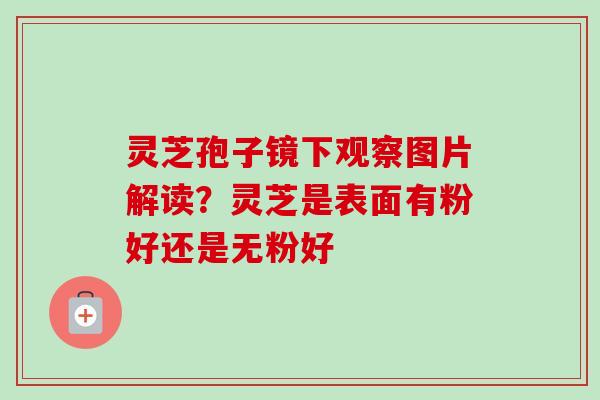 灵芝孢子镜下观察图片解读?灵芝是表面有粉好还是无粉好-第1张图片-卓越灵芝孢子粉 灵芝孢子镜下观察图片解读?灵芝是表面有粉好还是无粉好-第1张图片-卓越灵芝孢子粉