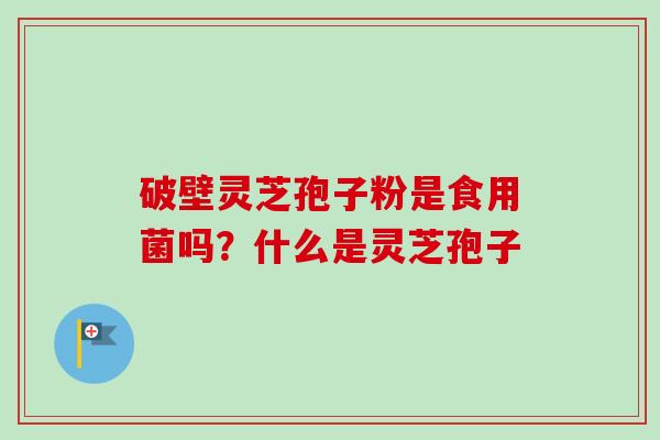 破壁灵芝孢子粉是食用菌吗？什么是灵芝孢子-第1张图片-卓越灵芝孢子粉