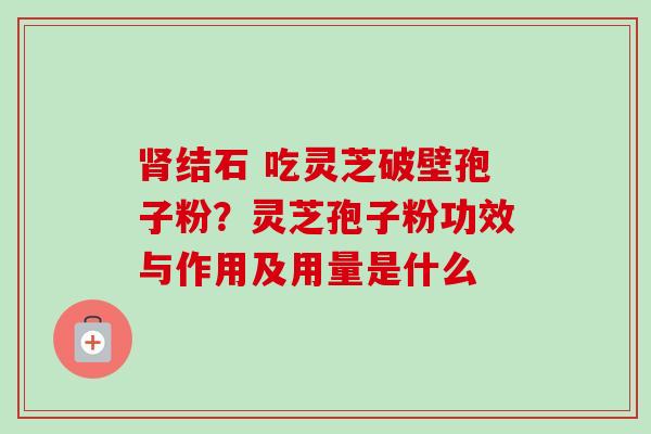 肾结石 吃灵芝破壁孢子粉?灵芝孢子粉功效与作用及用量是什么-第1张图片-卓越灵芝孢子粉 肾结石 吃灵芝破壁孢子粉?灵芝孢子粉功效与作用及用量是什么-第1张图片-卓越灵芝孢子粉
