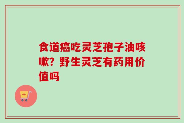 食道癌吃灵芝孢子油咳嗽?野生灵芝有药用价值吗-第1张图片-卓越灵芝孢子粉 食道癌吃灵芝孢子油咳嗽?野生灵芝有药用价值吗-第1张图片-卓越灵芝孢子粉