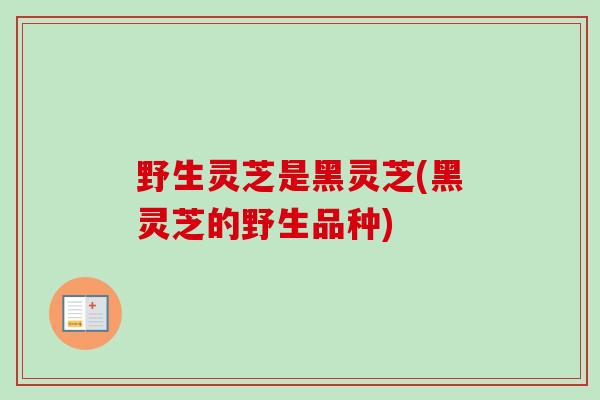 野生灵芝是黑灵芝(黑灵芝的野生品种)-第1张图片-卓越灵芝孢子粉 野生灵芝是黑灵芝(黑灵芝的野生品种)-第1张图片-卓越灵芝孢子粉