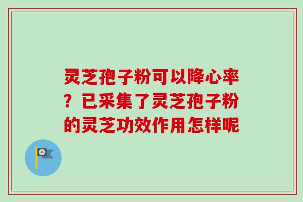 灵芝孢子粉可以降心率?已采集了灵芝孢子粉的灵芝功效作用怎样呢-第1张图片-卓越灵芝孢子粉 灵芝孢子粉可以降心率?已采集了灵芝孢子粉的灵芝功效作用怎样呢-第1张图片-卓越灵芝孢子粉