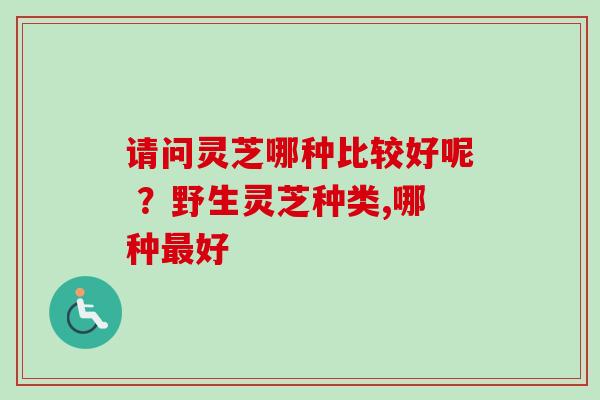 请问灵芝哪种比较好呢 ?野生灵芝种类,哪种最好-第1张图片-卓越灵芝孢子粉 请问灵芝哪种比较好呢 ?野生灵芝种类,哪种最好-第1张图片-卓越灵芝孢子粉