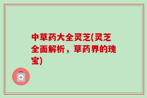 中草药大全灵芝(灵芝全面解析，草药界的瑰宝)-第1张图片-卓越灵芝孢子粉