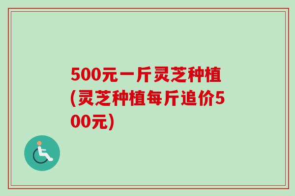500元一斤灵芝种植(灵芝种植每斤追价500元)-第1张图片-卓越灵芝孢子粉 500元一斤灵芝种植(灵芝种植每斤追价500元)-第1张图片-卓越灵芝孢子粉