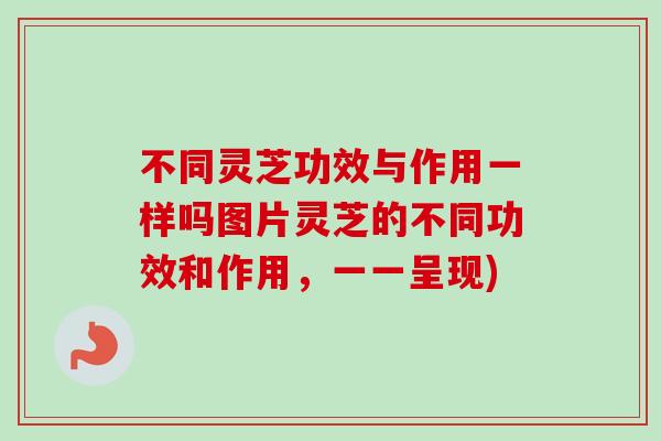 不同灵芝功效与作用一样吗图片灵芝的不同功效和作用,一一呈现)-第1张图片-卓越灵芝孢子粉 不同灵芝功效与作用一样吗图片灵芝的不同功效和作用,一一呈现)-第1张图片-卓越灵芝孢子粉
