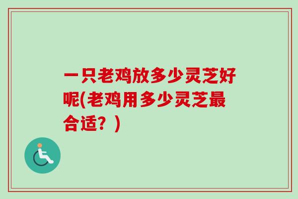 一只老鸡放多少灵芝好呢(老鸡用多少灵芝最合适?)-第1张图片-卓越灵芝孢子粉 一只老鸡放多少灵芝好呢(老鸡用多少灵芝最合适?)-第1张图片-卓越灵芝孢子粉