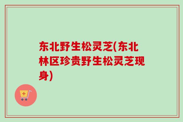 东北野生松灵芝(东北林区珍贵野生松灵芝现身)-第1张图片-卓越灵芝孢子粉 东北野生松灵芝(东北林区珍贵野生松灵芝现身)-第1张图片-卓越灵芝孢子粉