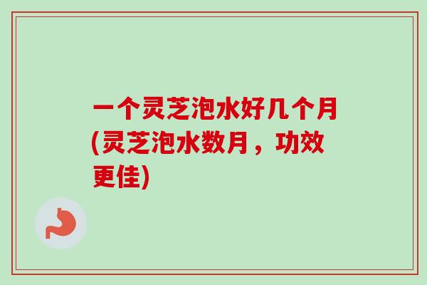 一个灵芝泡水好几个月(灵芝泡水数月,功效更佳)-第1张图片-卓越灵芝孢子粉 一个灵芝泡水好几个月(灵芝泡水数月,功效更佳)-第1张图片-卓越灵芝孢子粉