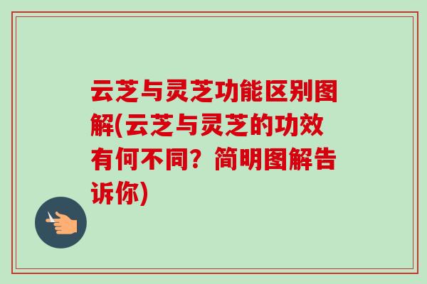 云芝与灵芝功能区别图解(云芝与灵芝的功效有何不同?简明图解告诉你)-第1张图片-卓越灵芝孢子粉 云芝与灵芝功能区别图解(云芝与灵芝的功效有何不同?简明图解告诉你)-第1张图片-卓越灵芝孢子粉