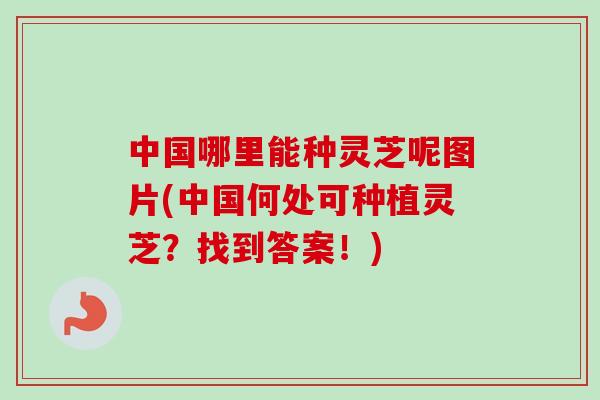 中国哪里能种灵芝呢图片(中国何处可种植灵芝?找到答案!)-第1张图片-卓越灵芝孢子粉 中国哪里能种灵芝呢图片(中国何处可种植灵芝?找到答案!)-第1张图片-卓越灵芝孢子粉
