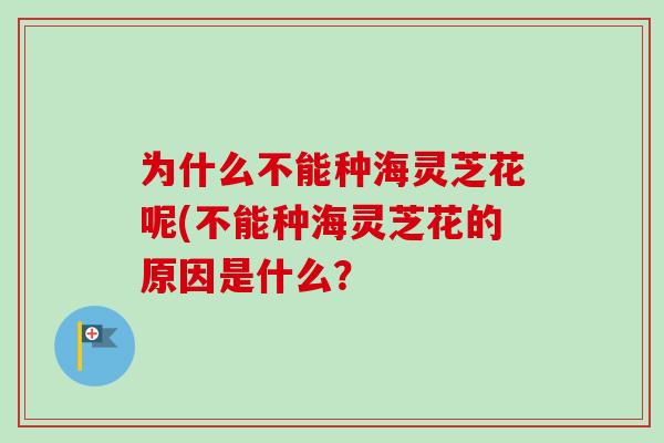 为什么不能种海灵芝花呢(不能种海灵芝花的原因是什么?-第1张图片-卓越灵芝孢子粉 为什么不能种海灵芝花呢(不能种海灵芝花的原因是什么?-第1张图片-卓越灵芝孢子粉