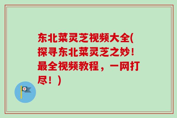 东北菜灵芝视频大全(探寻东北菜灵芝之妙!最全视频教程,一网打尽!)-第1张图片-卓越灵芝孢子粉 东北菜灵芝视频大全(探寻东北菜灵芝之妙!最全视频教程,一网打尽!)-第1张图片-卓越灵芝孢子粉