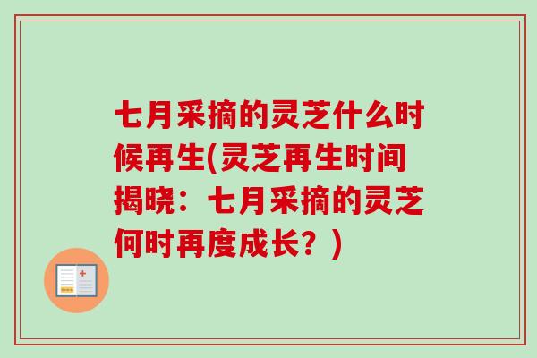 七月采摘的灵芝什么时候再生(灵芝再生时间揭晓：七月采摘的灵芝何时再度成长？)-第1张图片-卓越灵芝孢子粉