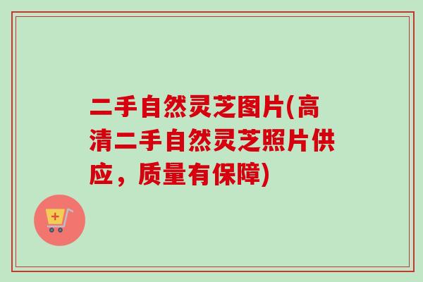 二手自然灵芝图片(高清二手自然灵芝照片供应,质量有保障)-第1张图片-卓越灵芝孢子粉 二手自然灵芝图片(高清二手自然灵芝照片供应,质量有保障)-第1张图片-卓越灵芝孢子粉