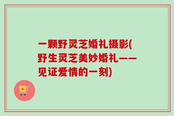 一颗野灵芝婚礼摄影(野生灵芝美妙婚礼——见证爱情的一刻)-第1张图片-卓越灵芝孢子粉