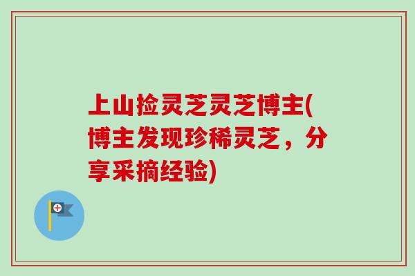上山捡灵芝灵芝博主(博主发现珍稀灵芝,分享采摘经验)-第1张图片-卓越灵芝孢子粉 上山捡灵芝灵芝博主(博主发现珍稀灵芝,分享采摘经验)-第1张图片-卓越灵芝孢子粉