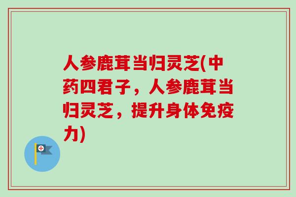人参鹿茸当归灵芝(中药四君子,人参鹿茸当归灵芝,提升身体免疫力)-第1张图片-卓越灵芝孢子粉 人参鹿茸当归灵芝(中药四君子,人参鹿茸当归灵芝,提升身体免疫力)-第1张图片-卓越灵芝孢子粉