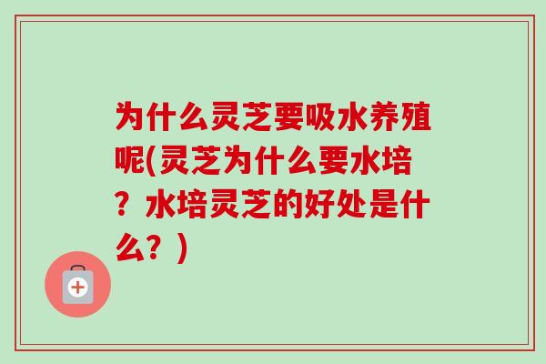 为什么灵芝要吸水养殖呢(灵芝为什么要水培?水培灵芝的好处是什么?)-第1张图片-卓越灵芝孢子粉 为什么灵芝要吸水养殖呢(灵芝为什么要水培?水培灵芝的好处是什么?)-第1张图片-卓越灵芝孢子粉