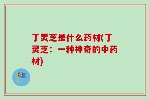 丁灵芝是什么药材(丁灵芝：一种神奇的中药材)-第1张图片-卓越灵芝孢子粉