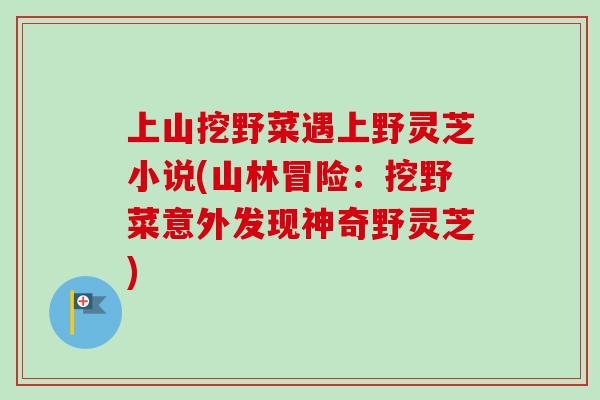 上山挖野菜遇上野灵芝小说(山林冒险:挖野菜意外发现神奇野灵芝)-第1张图片-卓越灵芝孢子粉 上山挖野菜遇上野灵芝小说(山林冒险:挖野菜意外发现神奇野灵芝)-第1张图片-卓越灵芝孢子粉