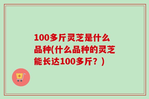 100多斤灵芝是什么品种(什么品种的灵芝能长达100多斤?)-第1张图片-卓越灵芝孢子粉 100多斤灵芝是什么品种(什么品种的灵芝能长达100多斤?)-第1张图片-卓越灵芝孢子粉