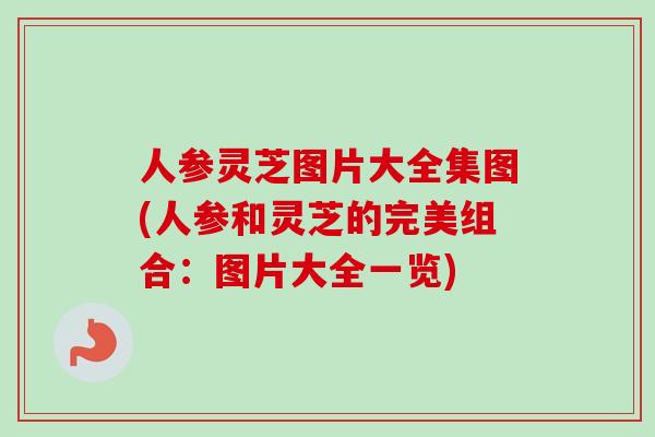 人参灵芝图片大全集图(人参和灵芝的完美组合:图片大全一览)-第1张图片-卓越灵芝孢子粉 人参灵芝图片大全集图(人参和灵芝的完美组合:图片大全一览)-第1张图片-卓越灵芝孢子粉