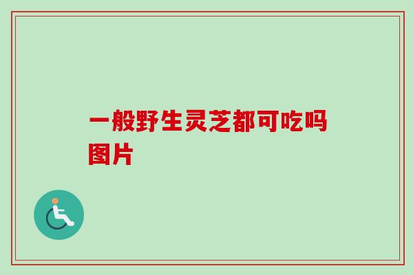 一般野生灵芝都可吃吗图片-第1张图片-卓越灵芝孢子粉 一般野生灵芝都可吃吗图片-第1张图片-卓越灵芝孢子粉