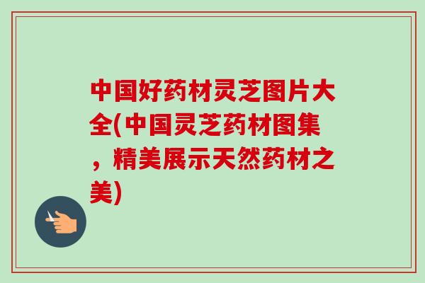 中国好药材灵芝图片大全(中国灵芝药材图集,精美展示天然药材之美)-第1张图片-卓越灵芝孢子粉 中国好药材灵芝图片大全(中国灵芝药材图集,精美展示天然药材之美)-第1张图片-卓越灵芝孢子粉