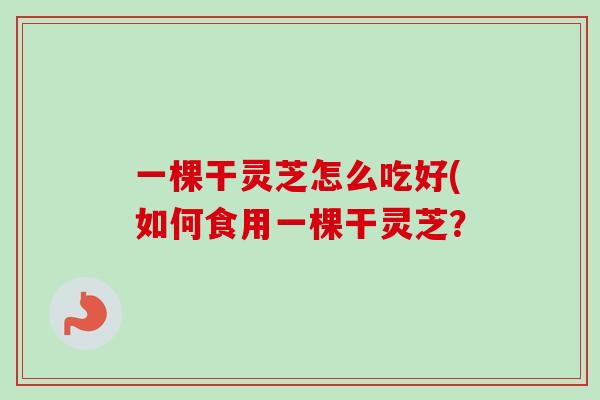 一棵干灵芝怎么吃好(如何食用一棵干灵芝？-第1张图片-卓越灵芝孢子粉