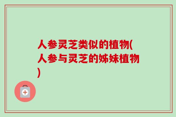 人参灵芝类似的植物(人参与灵芝的姊妹植物)-第1张图片-卓越灵芝孢子粉