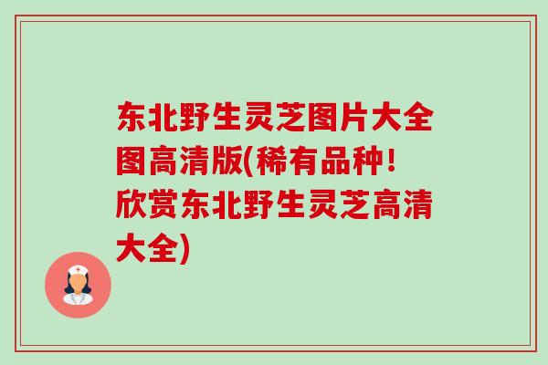 东北野生灵芝图片大全图高清版(稀有品种!欣赏东北野生灵芝高清大全)-第1张图片-卓越灵芝孢子粉 东北野生灵芝图片大全图高清版(稀有品种!欣赏东北野生灵芝高清大全)-第1张图片-卓越灵芝孢子粉