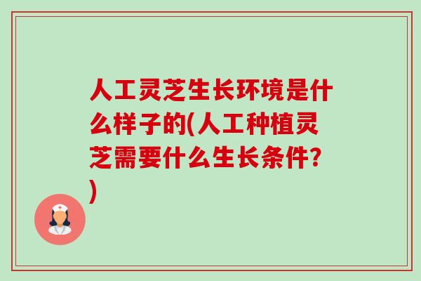 人工灵芝生长环境是什么样子的(人工种植灵芝需要什么生长条件?)-第1张图片-卓越灵芝孢子粉 人工灵芝生长环境是什么样子的(人工种植灵芝需要什么生长条件?)-第1张图片-卓越灵芝孢子粉