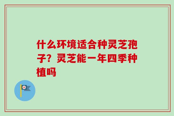 什么环境适合种灵芝孢子？灵芝能一年四季种植吗-第1张图片-卓越灵芝孢子粉