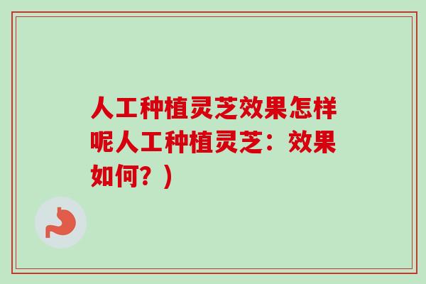人工种植灵芝效果怎样呢人工种植灵芝:效果如何?)-第1张图片-卓越灵芝孢子粉 人工种植灵芝效果怎样呢人工种植灵芝:效果如何?)-第1张图片-卓越灵芝孢子粉