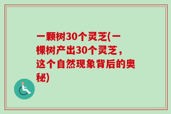 一颗树30个灵芝(一棵树产出30个灵芝,这个自然现象背后的奥秘)-第1张图片-卓越灵芝孢子粉 一颗树30个灵芝(一棵树产出30个灵芝,这个自然现象背后的奥秘)-第1张图片-卓越灵芝孢子粉