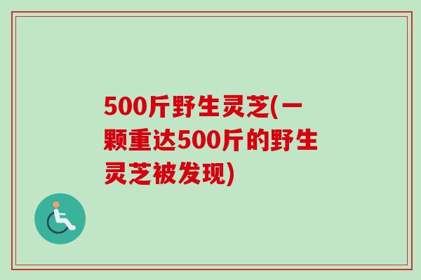 500斤野生灵芝(一颗重达500斤的野生灵芝被发现)-第1张图片-卓越灵芝孢子粉
